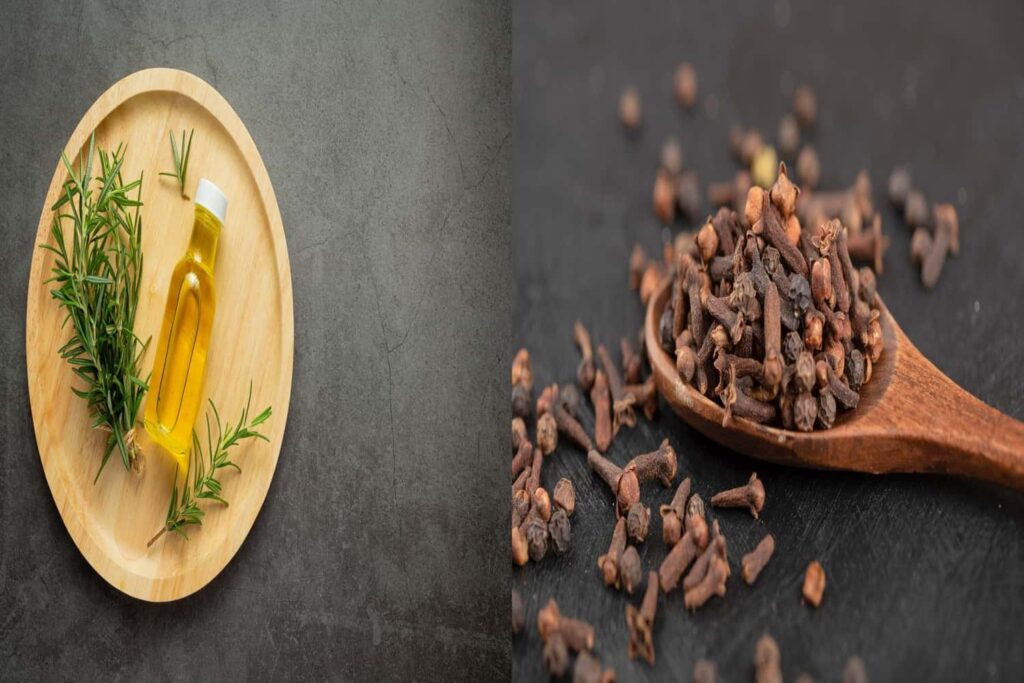 Benefits of Rosemary Oil and Cloves for Hair Growth