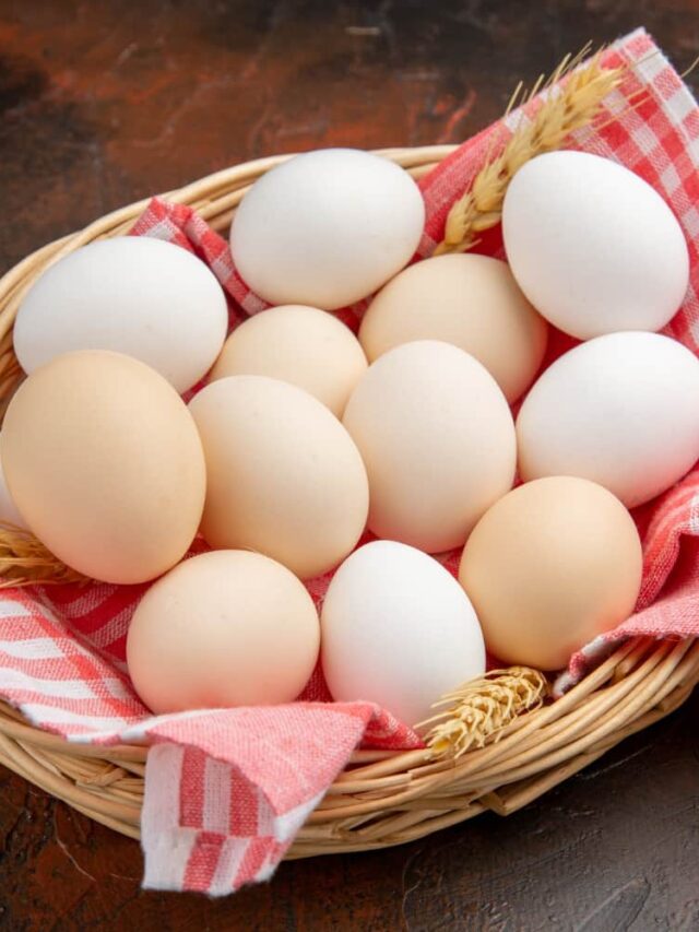 Essential Nutritional Benefits of Egg