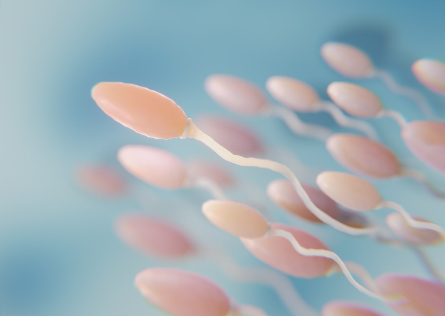 Lower sperm count for mobile